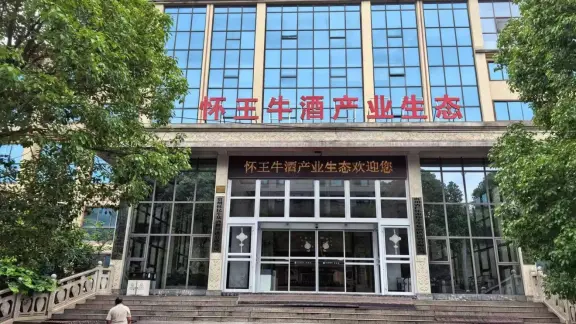 文章正文配图